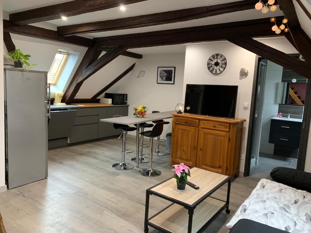 Gite Du Figuier 4 A 6 Personnes Selestat Centre-Alsace Dış mekan fotoğraf